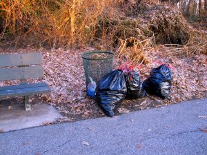 Clove Lakes Cleanup At Royal Oaks On Horse Trail By Assertive Kids. Three More Bags of Trash!
