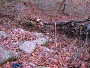 Clove Lakes Cleanup At Royal Oaks On Horse Trail By Assertive Kids