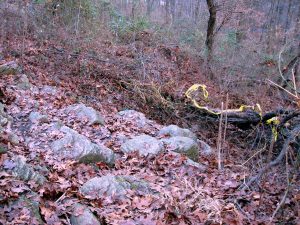 Clove Lakes Cleanup At Royal Oaks On Horse Trail By Assertive Kids. Trash Finally Gone!