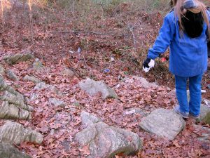 Clove Lakes Cleanup At Royal Oaks On Horse Trail By Assertive Kids