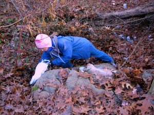 Clove Lakes Cleanup At Royal Oaks On Horse Trail By Assertive Kids