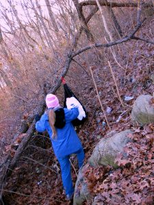 Clove Lakes Cleanup At Royal Oaks On Horse Trail By Assertive Kids